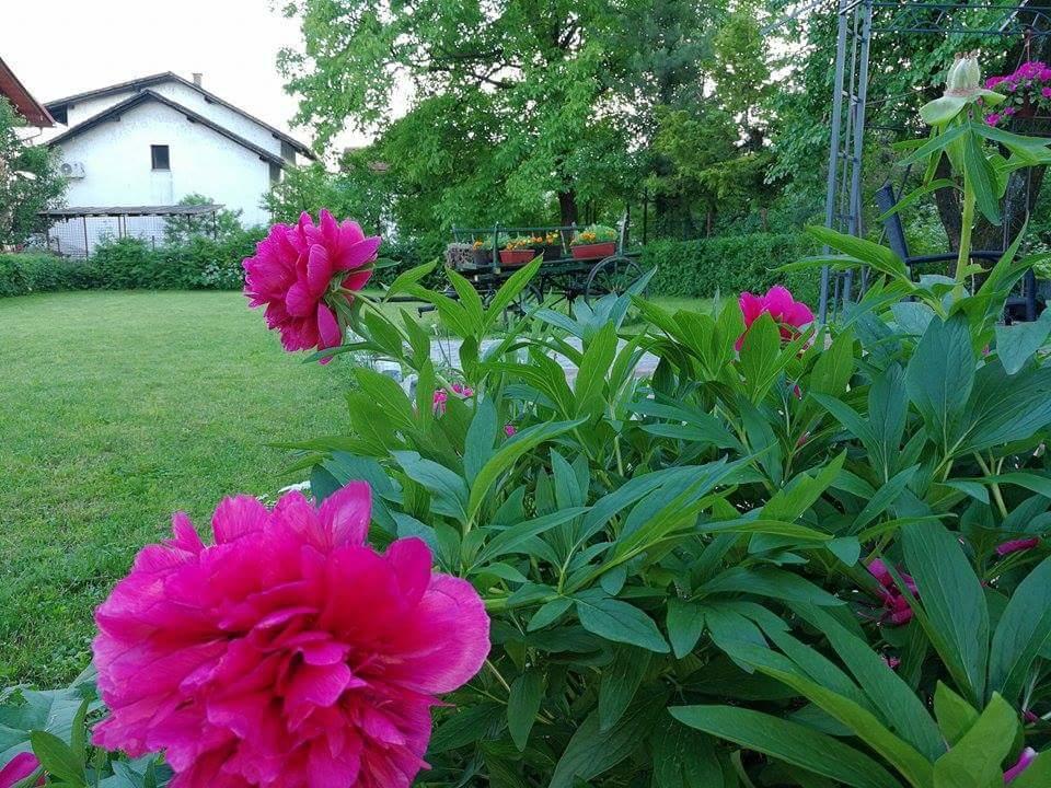 B&B Villa Una Bihac Exterior photo